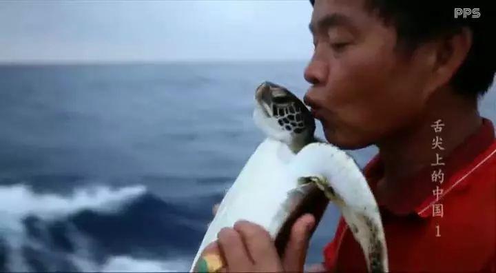 体育纪录片综艺赛场图鉴
